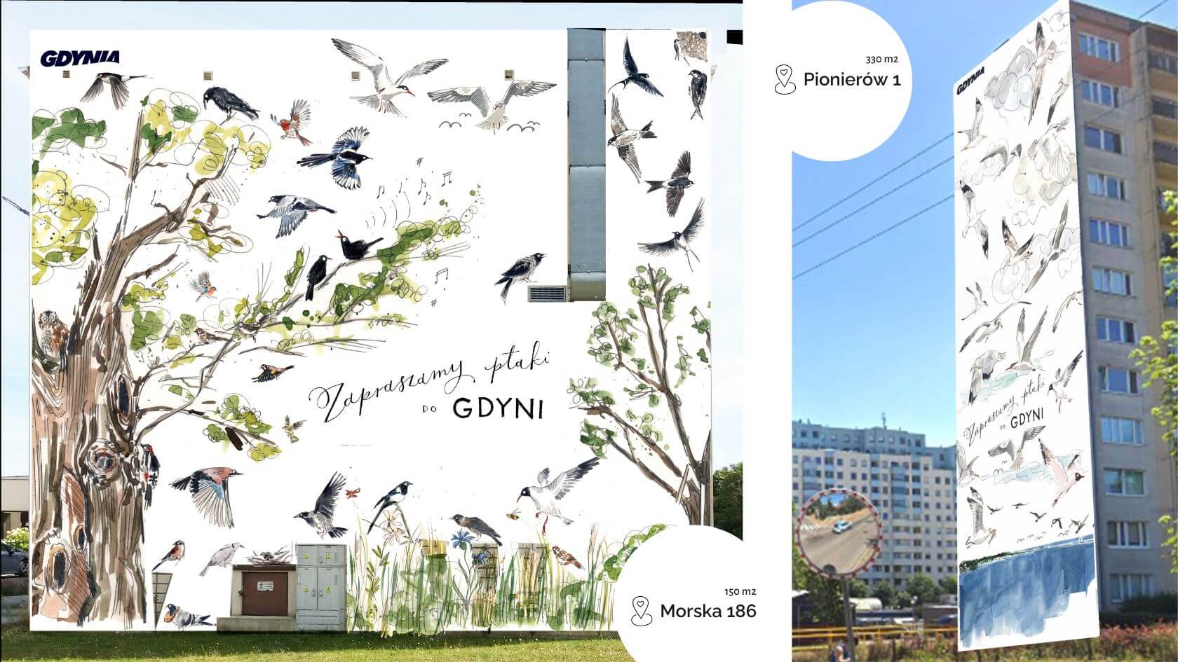 Wizualizacja dwóch ptasich ekologicznych murali, które powstaną w Gdyni